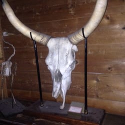 Musée Testut Latarjet d'Anatomie et d'Histoire Naturelle de Lyon - Visite à la torche pendant la nuit des musées