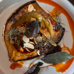 Raven - Acorn Squash