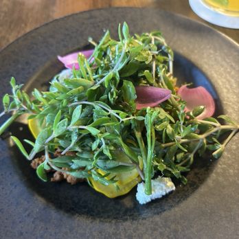 Restaurant Gish - zucchini, chorizo, charred pepper, queso fresco, pepita seeds - New American Near Me - Santa Clara, California Restaurant Gish - zucchini, chorizo, charred pepper, queso fresco, pepita seeds - New American Near Me - Santa Clara, California