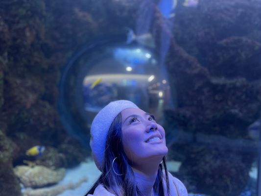 The Dallas World Aquarium by null