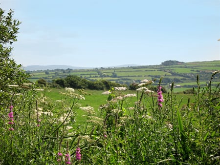 Cwm Connell Coastal Cottages by null
