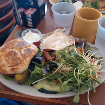 Honey's Bistro - Bison Burger with side salad - Breakfast & Brunch Near Me - Encinitas, California Honey's Bistro - Bison Burger with side salad - Breakfast & Brunch Near Me - Encinitas, California