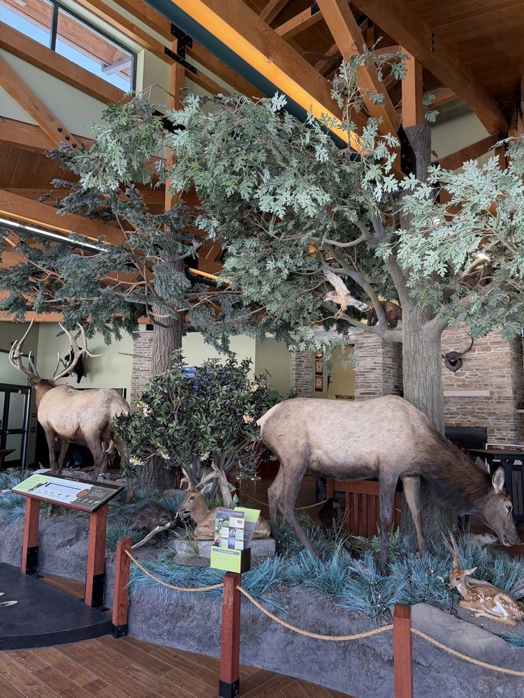 KEYSTONE ELK COUNTRY ALLIANCE