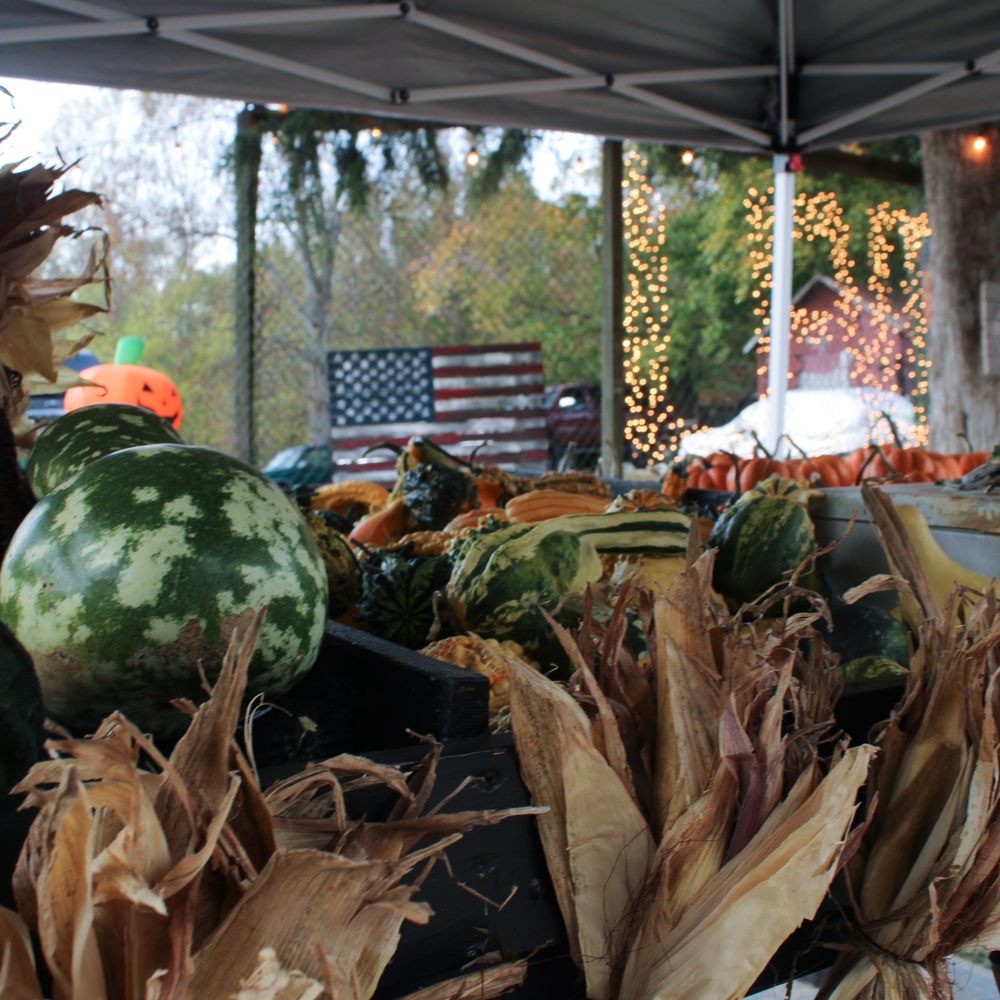 Levi’s Pumpkin Patch - Pumpkin Patches Near Me - Chesterfield, Virginia
