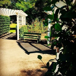 Wahroonga Park - Wahroonga park