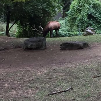 Queens Zoo - Zoos Near Me - Corona, New York