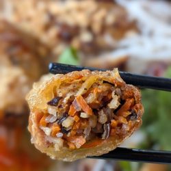 Cross-section of my spring roll