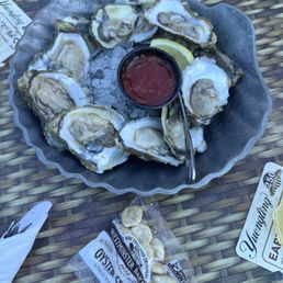 Oysters