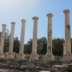 Maranatha Tours - Cardo Bet Shean