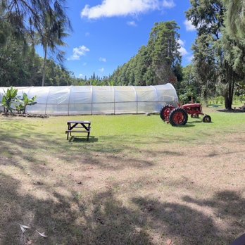 Paradise Meadows, South Point Road - Picnic tables with a farm view - Tours Near Me - Naalehu, Hawaii