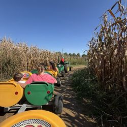 Wayside Farm Fun