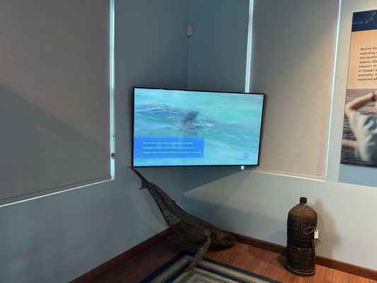 Hawaiian Islands Humpback Whale National Marine Sanctuary Visitor Center by null