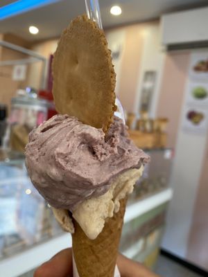 Cantina del gelato by null