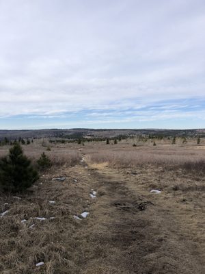 Dolly Sods Wilderness by null