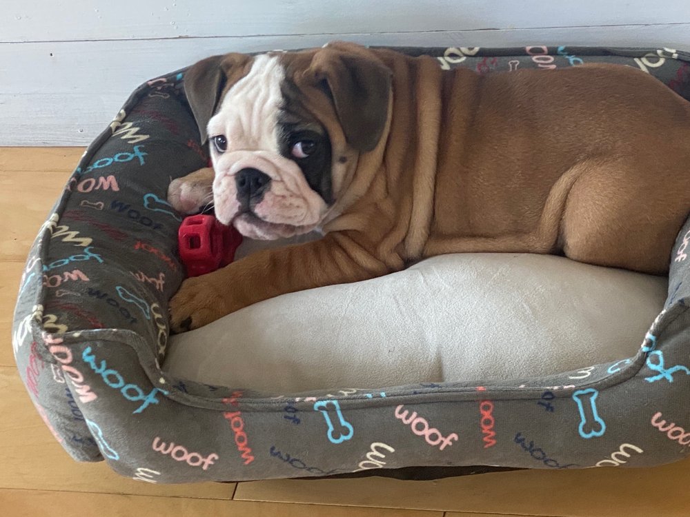 TAILS & SCALES VETERINARY CENTER Updated August 2024 6522 Sligo