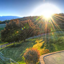 Nighthawk Vineyards