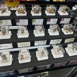DS Smoke and Vapor - Samples