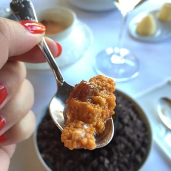 Pavillon Ledoyen - Sea urchin - French Near Me - Paris, 75