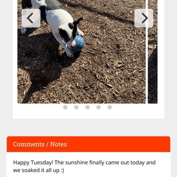 Top Dog Ranch - Pet Training Near Me - Broken Arrow, Oklahoma Top Dog Ranch - Pet Training Near Me - Broken Arrow, Oklahoma