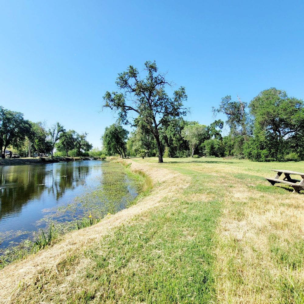 Riverbend RV Park - Love this pond and especially all the tables to sit at & relax. - RV Parks Near Me - Sanger, California Riverbend RV Park - Love this pond and especially all the tables to sit at & relax. - RV Parks Near Me - Sanger, California