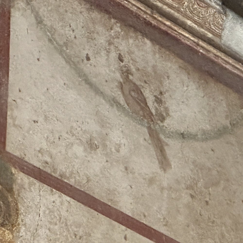 Scavi di Pompei - Bird fresco - Museums Near Me - Pompei, NA