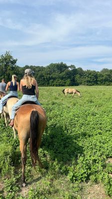 BROKEN BOW RANCH - Updated March 2026 - 45 Photos & 62 Reviews - 1755 E ...