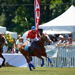 Victory Cup - Fredericksburg - POLO! Team Audi from Hi Tech Motors cars