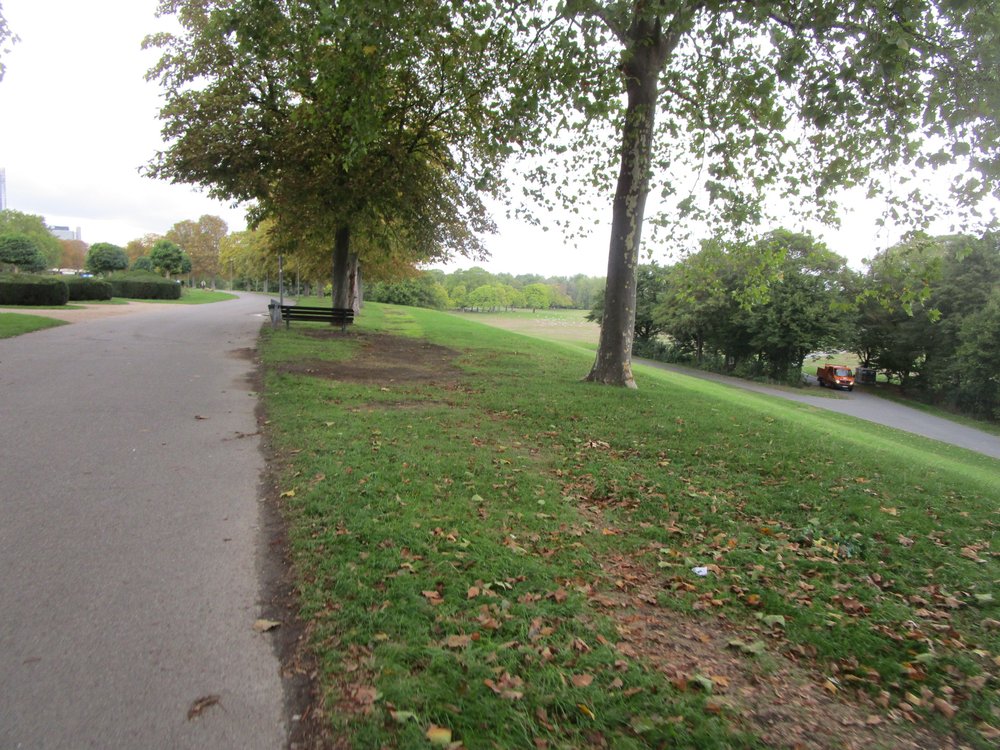 Freizeitpark Rheinaue