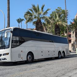 Lin Lines Transportation