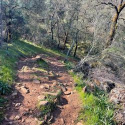 Salmon Falls Mountain Bike Trail