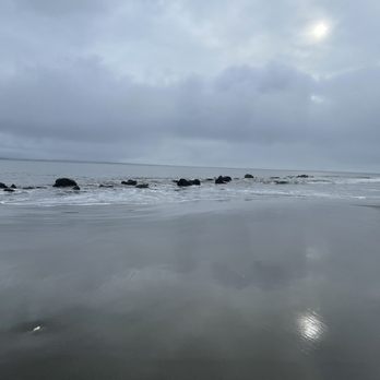 Damon Point - Beaches Near Me - Ocean Shores, Washington Damon Point - Beaches Near Me - Ocean Shores, Washington