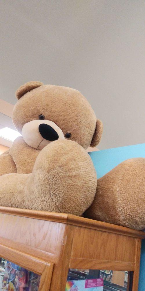 COCOA BEACH PUBLIC LIBRARY Updated September 2024 43 Photos 550 N