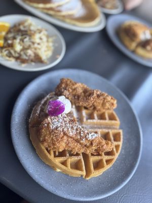 Josephine’s Kitchen by null
