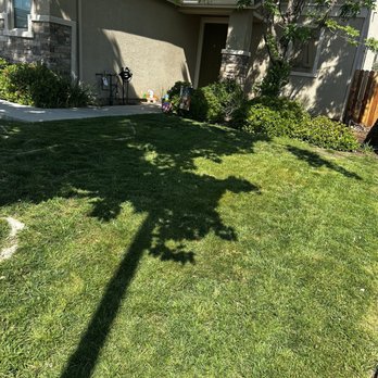 MTZ Lawncare - After - Lawn Services Near Me