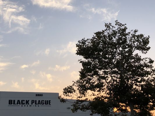 Black Plague Brewing by null