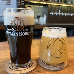 Human Robot