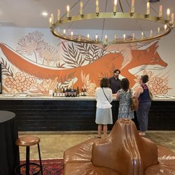 Flying Fox Vineyard - Background of the Flying Fox bar