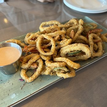 Turtle Jack’s - a plate of onion rings and dipping sauce - American Near Me - Brampton, Ontario
