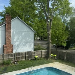KC Tree Specialist - They did work together