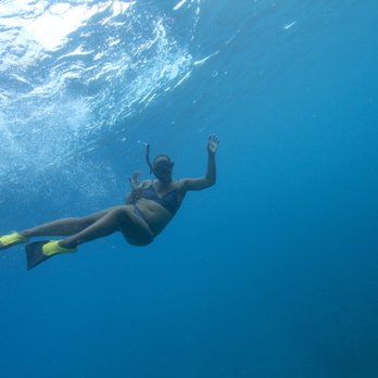 Iruka Hawaii Dolphin - Snorkeling Near Me - Honolulu, Hawaii