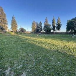 Huge enclosed dog park !