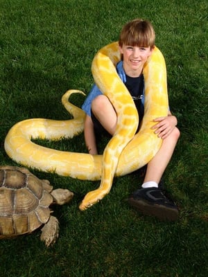 The Reptile Zoo - When Prehistoric Pets originally opened its doors as Pet Country in 1988, our mission was to provide both traditional and exotic pets to the public. As our customer base grew, we took the opportunity to shift our focus to education with exotic reptiles from around the globe. In 1995 we expanded further creating Jurassic Parties whose goal is to further the public’s understanding and respect for reptiles through interactive educational events. In 2000 and 2018 success allowed expansion to it’s current size of 13,000 square feet with an inventive set-up that was the first of its kind. Designed by founder Jay Brewer, the aim was to create a zoo-like atmosphere with the philosophy “build it and they will come.” This philosophy proved correct and even more new customers started visiting the store solely to observe exotic reptiles, many of which were not displayed at even the largest of zoos. The Reptile Zoo - When Prehistoric Pets originally opened its doors as Pet Country in 1988, our mission was to provide both traditional and exotic pets to the public. As our customer base grew, we took the opportunity to shift our focus to education with exotic reptiles from around the globe. In 1995 we expanded further creating Jurassic Parties whose goal is to further the public’s understanding and respect for reptiles through interactive educational events. In 2000 and 2018 success allowed expansion to it’s current size of 13,000 square feet with an inventive set-up that was the first of its kind. Designed by founder Jay Brewer, the aim was to create a zoo-like atmosphere with the philosophy “build it and they will come.” This philosophy proved correct and even more new customers started visiting the store solely to observe exotic reptiles, many of which were not displayed at even the largest of zoos.