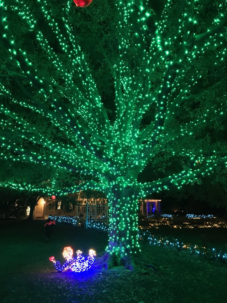 Root Down Tree Management - tree service in Richmond, VA