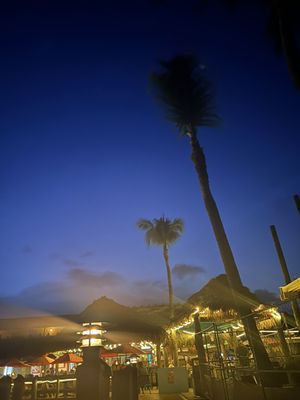 Snappers Oceanfront Restaurant & Bar by null