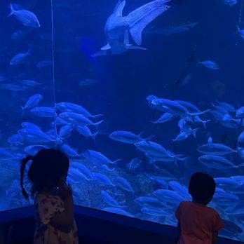 Maritime Aquarium - Aquariums Near Me - Norwalk, Connecticut Maritime Aquarium - Aquariums Near Me - Norwalk, Connecticut