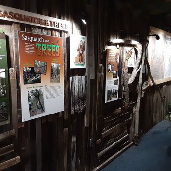 Sasquatch Outpost - Interior of one of the rooms - Outdoor Gear Near Me - Bailey, Colorado