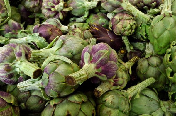 Notting Hill Farmers' Market by null