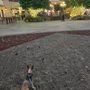 Photo of Plaza Mexico