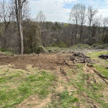 SG Tree service - Removed tree and stump - Tree Services Near Me SG Tree service - Removed tree and stump - Tree Services Near Me
