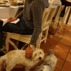 Le Moulin de Mitou - The two little cuties running around the restaurant